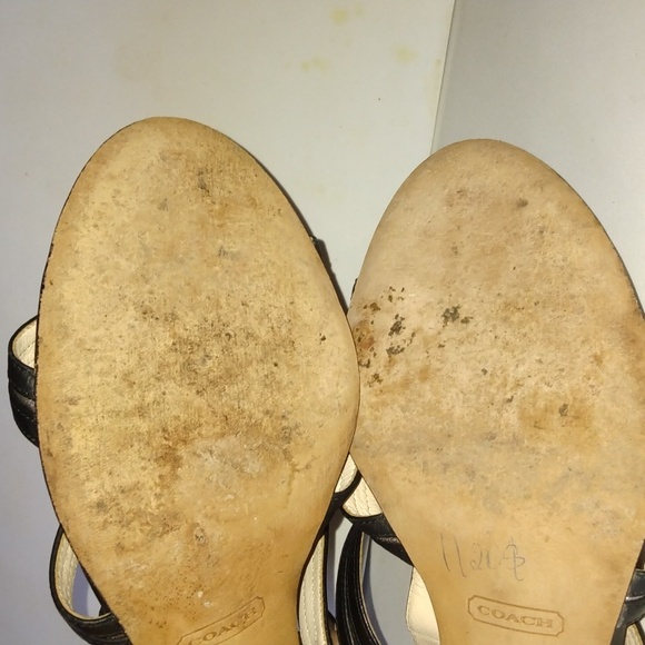 COACH - Picture 13 of 16